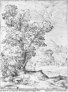 Waldlandschaft