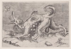 Der Drache und die Biene von Agostino Veneziano