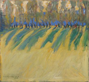 Licht und Schatten von Akseli Gallen-Kallela