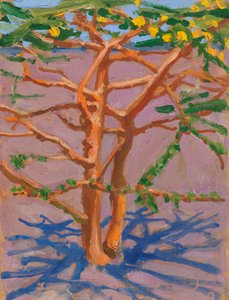 Akazie in der Savanne von Akseli Valdemar Gallen-Kallela