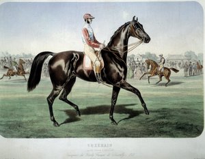 Rennen: Suzerain, Gewinner des Chantilly-Derbys 1868. Lithographie von Albert Adam (1833-?) Private Sammlung von Albert Adam
