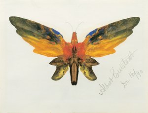 Schmetterling, 1890 von Albert Bierstadt