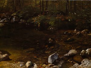 Schattiger Teich, Weiße Berge, New Hampshire, ca. 1869