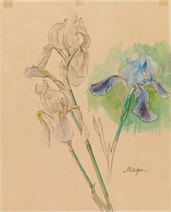 Iris von Albert Edelfelt