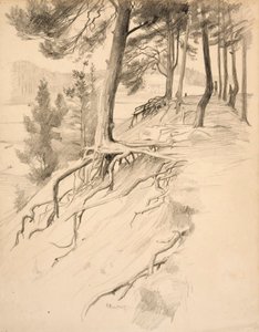  von Albert Edelfelt