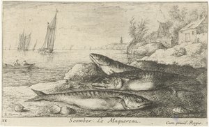 Drei Makrelen am Strand von Albert Flamen