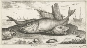 Drei Schellfische am Strand von Albert Flamen