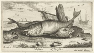 Drei Schellfische am Strand von Albert Flamen