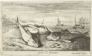 Drei Salzwasserfische am Strand