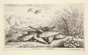 Epelanus, L von Albert Flamen
