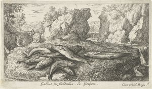 Gründlinge am Flussufer von Albert Flamen