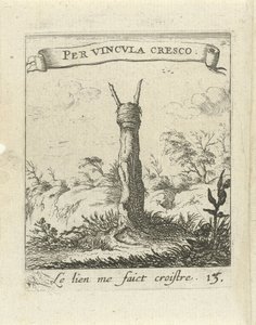 Landschaft mit Baumstumpf von Albert Flamen