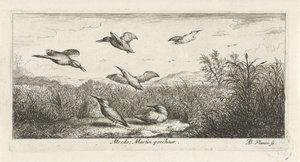 Landschaft mit Eisvögeln