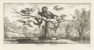 Landschaft mit Kircheule zwischen anderen Vögeln
