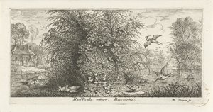 Landschaft mit Bekassine