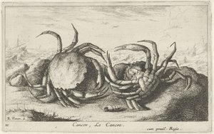Zwei Krebse am Strand von Albert Flamen