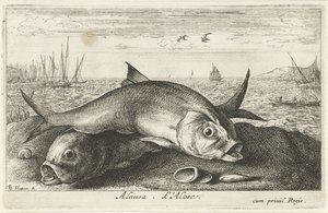 Zwei Maifische am Strand von Albert Flamen