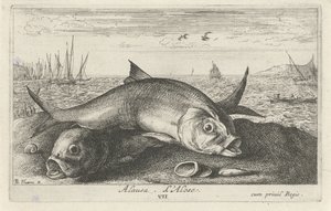Zwei Maifische am Strand von Albert Flamen