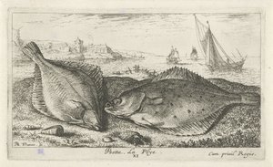Zwei Plattfische am Strand von Albert Flamen
