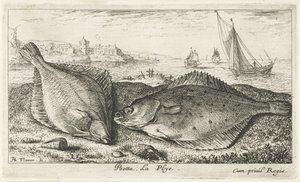 Zwei Plattfische am Strand von Albert Flamen