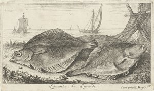 Zwei Schollen am Strand von Albert Flamen