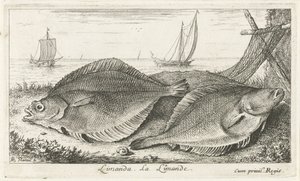 Zwei Schollen am Strand von Albert Flamen