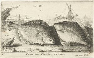 Zwei Schollen am Strand von Albert Flamen