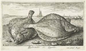Zwei Schollen am Strand von Albert Flamen