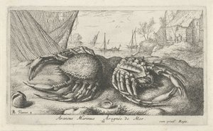 Zwei Spinnenkrabben bei einem Fischernetz von Albert Flamen