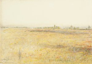 Kornfelder, Hooe. Bexhill am Meer von Albert Goodwin