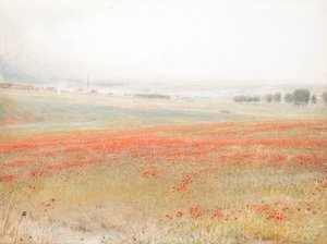 Die Unkräuter. Mohn im Korn. Salisbury von Albert Goodwin