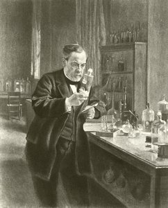 Dr. Louis Pasteur in seinem Labor von Albert Gustaf Aristides Edelfelt