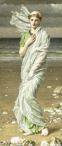 Meeresmuscheln, 1875
