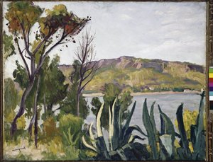 Landschaft mit Agave von Albert Marquet