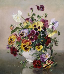 Stillleben mit Stiefmütterchen von Albert Williams