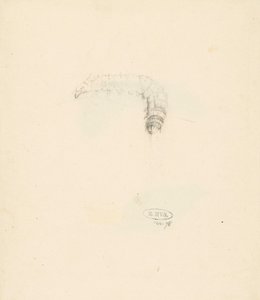 Studienblatt mit Raupe, Lasiocampa Quireifolia von Albertus Steenbergen
