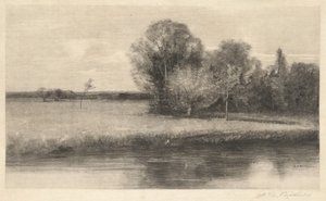 Eine sonnenbeschienene Wiese an einem Fluss von Albion Bicknell