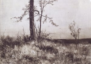 Landschaft von Albion Harris Bicknell