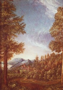 Donau-Landschaft mit Schloss Worth, ca. 1522-25 (Pergament auf Buche) von Albrecht Altdorfer