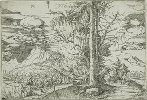 Landschaft mit einer doppelten Fichte