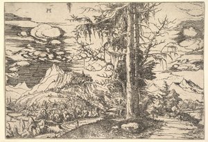 Landschaft mit einer doppelten Fichte