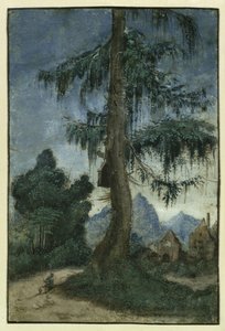 Landschaft mit einer Fichte, ca. 1522 von Albrecht Altdorfer