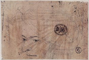 Porträtskizze eines jungen Mannes mit Kappe von Albrecht Altdorfer