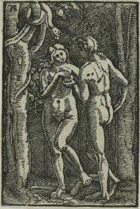 Der Sündenfall, aus Der Fall und die Erlösung des Menschen von Albrecht Altdorfer