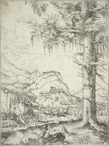 Die große Fichte, um 1520
