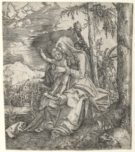 Die Jungfrau in einer Landschaft, ca. 1515 von Albrecht Altdorfer