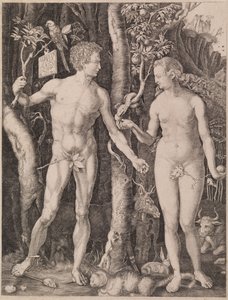 Adam und Eva von Albrecht Dürer