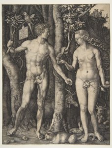 Adam und Eva von Albrecht Dürer