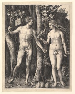  von Albrecht Dürer