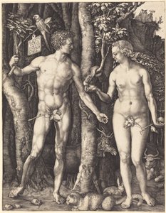  von Albrecht Dürer